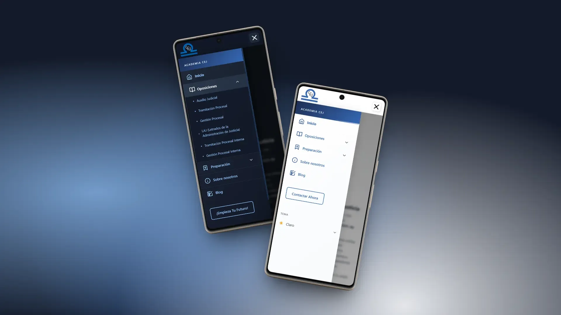 Academia CEJ Website - 10