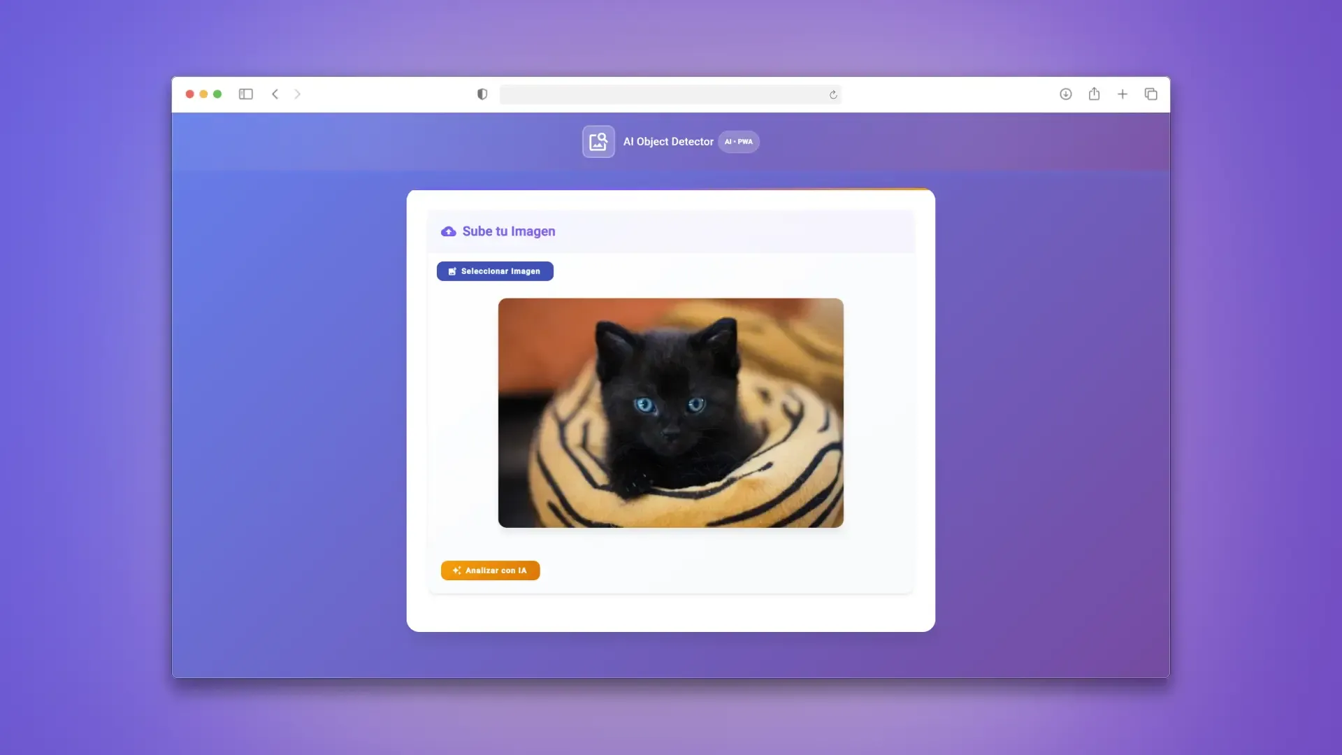 PWA de detección de objetos con Angular