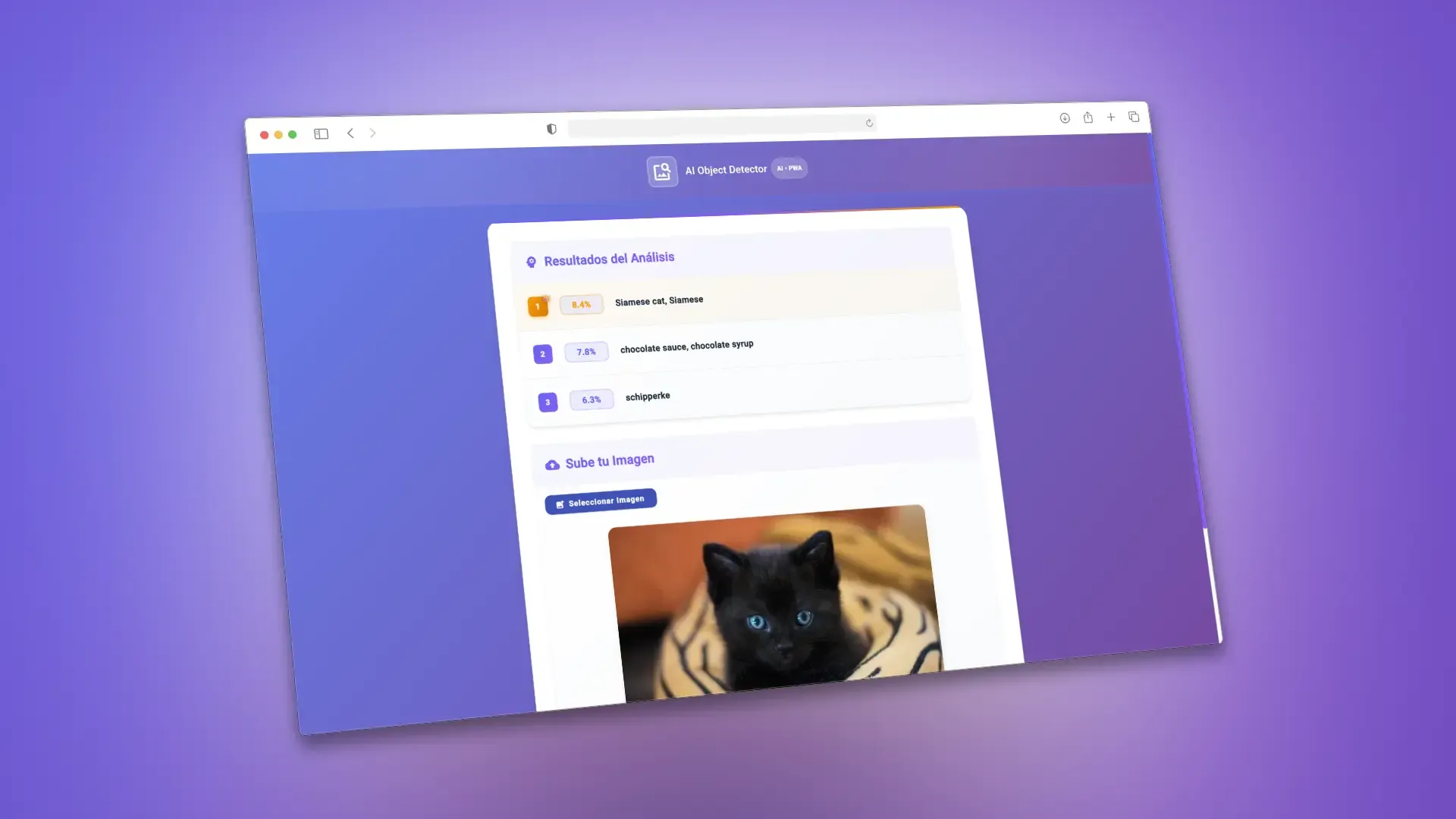 PWA de detección de objetos con Angular - 2